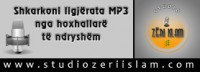 Shkarkoni